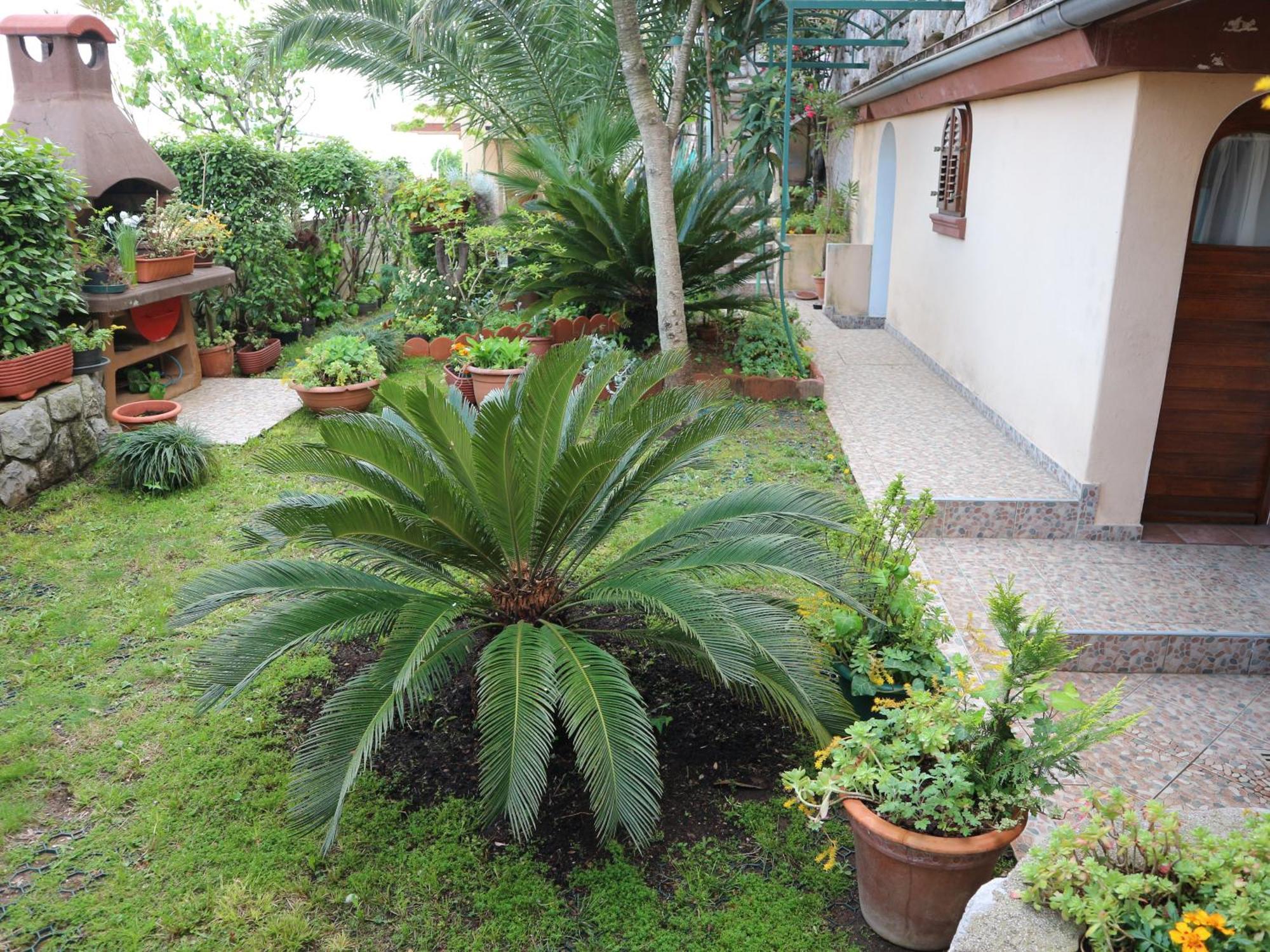 Apartments Komel Opatija Exterior foto